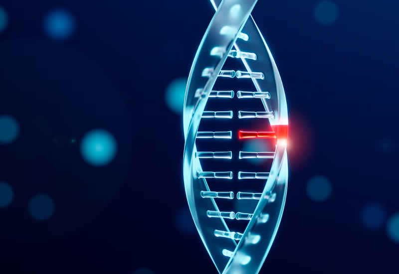 DNA Profiling